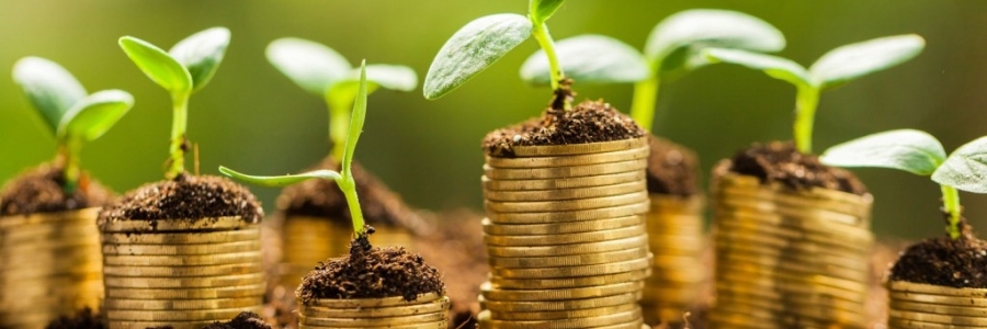 Lessons From Rinehart